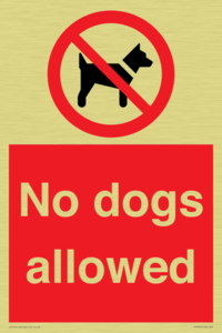 No dogs allowed